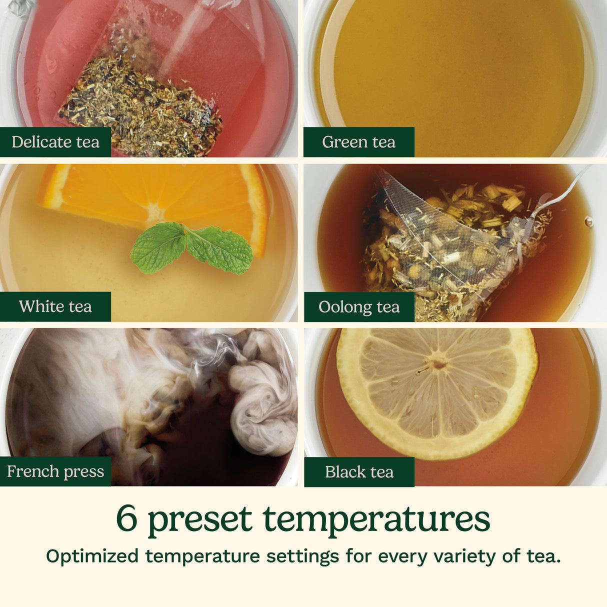 Cuisinart® PerfecTemp® Cordless Electric Kettle